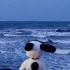 luv.the.moonlight