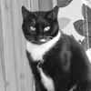 maisie.189