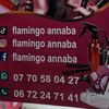 flamingo.annaba