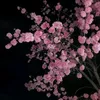 saikasaika97