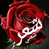 هدوء الليل