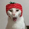 dz3n1xx0