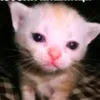rudjdbdjdbd