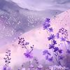 user86378804270871