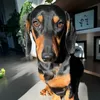 Flokito01