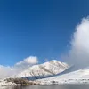 najiabakkali46