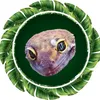 mrjunglerainforest02