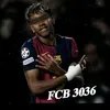 fcb3036