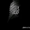 sefzz62
