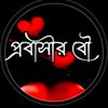 aysha.nizam