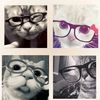 loveisblind712