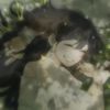 jade.xppp