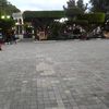 100.erickpson