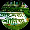hafej.shamim