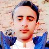 ali.haider7929