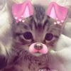mihirai_hppts