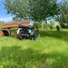 beniamin_26