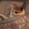 zen._.1207