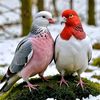 user18530971223541