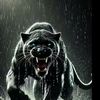 black.panther2032