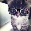 pine_applez7