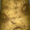 overtannedpotato_2.0