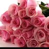 beautysense3