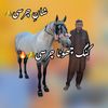 چھچھ دے شوقین🕊️🐴