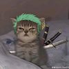 argus.player.gyi