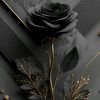 arif_0344