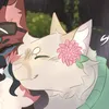 silly_fluffbal