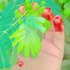 shakir6341