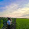 tk.ct21138
