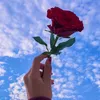 user7961235868107