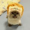 crumblerubyy