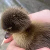 niki_riki571