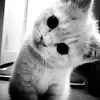 hkieuoanhh