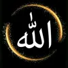 mansurhimdad1