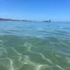 noa.veludo