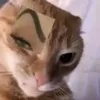 .bip_9