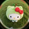 pongsapuk03