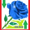 ana.blue7