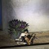 catyaholic