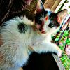 am..monira.akther