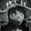 amninishygirl