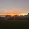 fredjcop