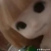 bng0681