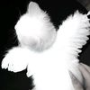 user92415253037