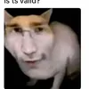 fartingfighterfunkymonke