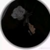 shahd..66